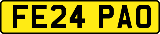 FE24PAO