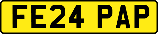 FE24PAP