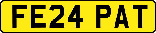 FE24PAT