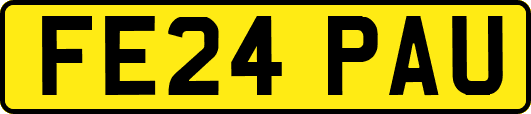 FE24PAU