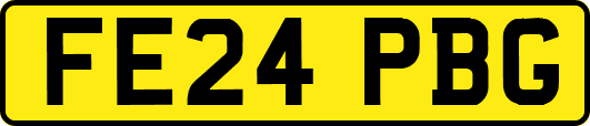 FE24PBG