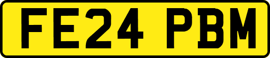 FE24PBM