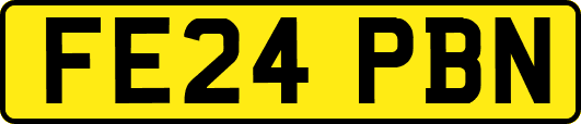FE24PBN