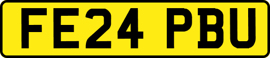 FE24PBU