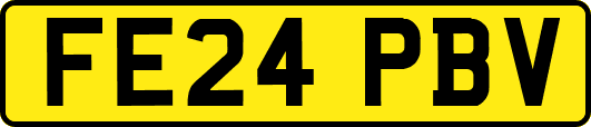 FE24PBV