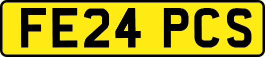 FE24PCS