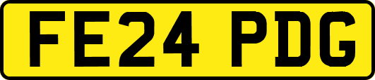 FE24PDG