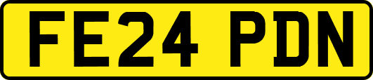 FE24PDN