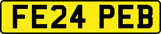 FE24PEB