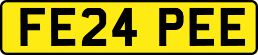 FE24PEE