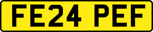 FE24PEF