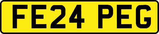 FE24PEG