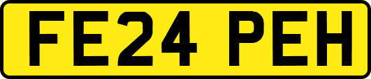 FE24PEH