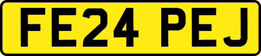 FE24PEJ