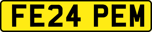 FE24PEM