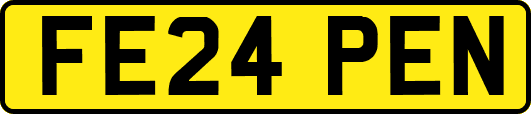 FE24PEN