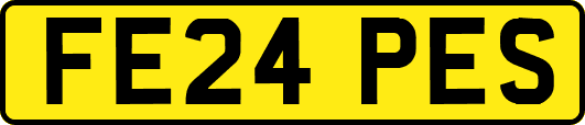FE24PES