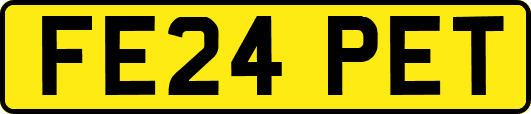 FE24PET