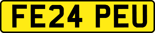 FE24PEU