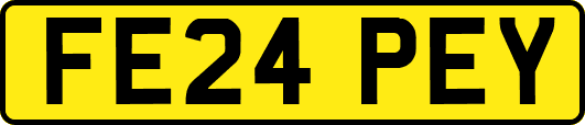 FE24PEY