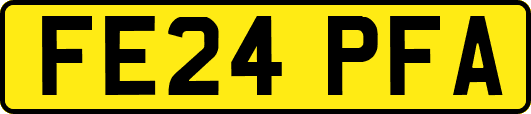 FE24PFA