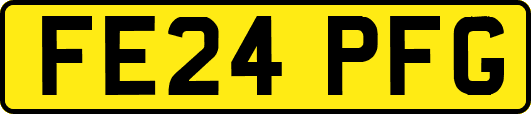 FE24PFG
