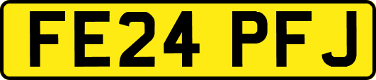 FE24PFJ