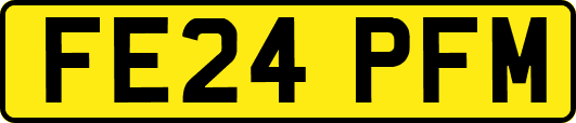 FE24PFM
