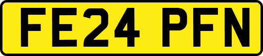 FE24PFN