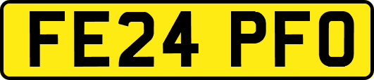 FE24PFO