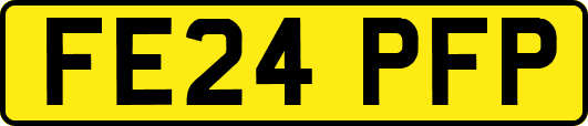 FE24PFP