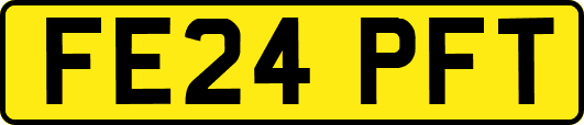 FE24PFT