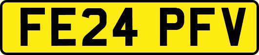 FE24PFV