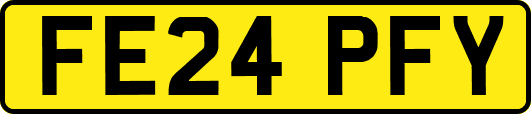 FE24PFY