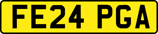 FE24PGA