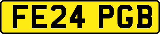 FE24PGB