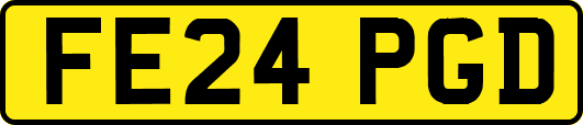 FE24PGD