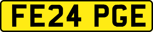 FE24PGE