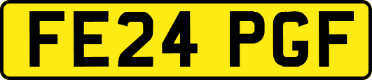 FE24PGF