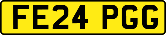 FE24PGG