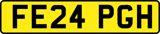 FE24PGH