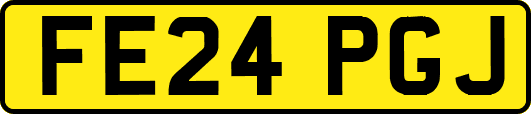 FE24PGJ