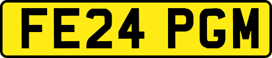 FE24PGM
