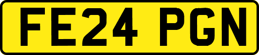 FE24PGN