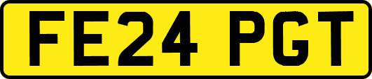 FE24PGT