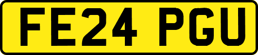 FE24PGU