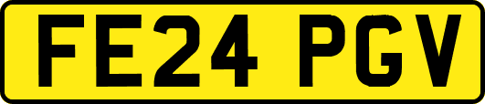 FE24PGV