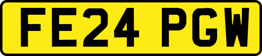 FE24PGW
