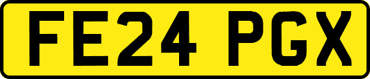 FE24PGX