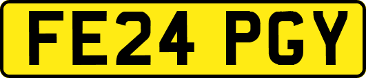FE24PGY